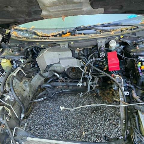 2014 Mitsubishi Lancer Evolution JDM car for sale — photo 5 of 25
