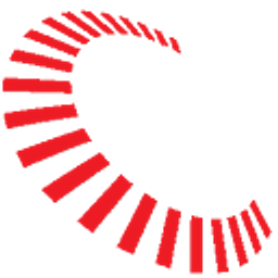 Import Revolution Japan logo